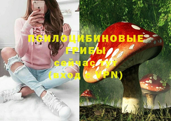 гидра Алзамай