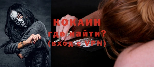 стафф Алексин