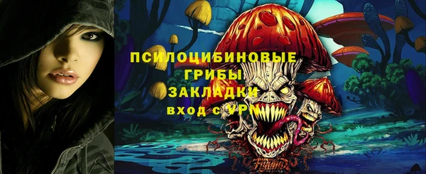 гидра Алзамай