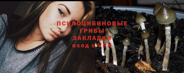 гидра Алзамай