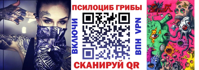где можно купить   Куртамыш  Галлюциногенные грибы мухоморы 